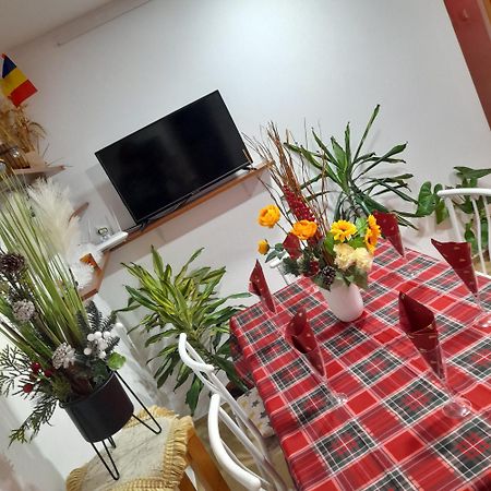 Apartment Boulevard Cetate ألبا يوليا المظهر الخارجي الصورة