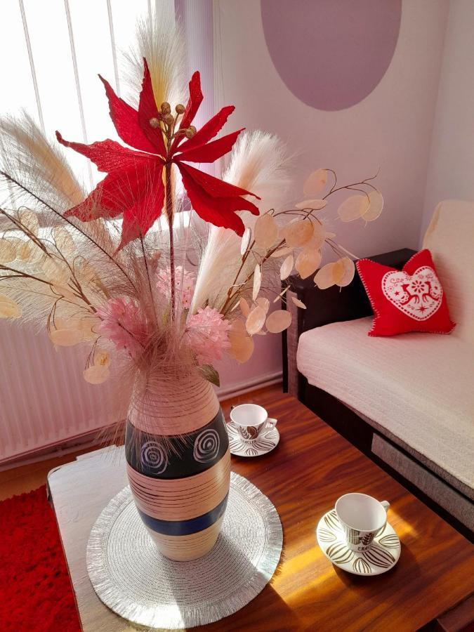 Apartment Boulevard Cetate ألبا يوليا المظهر الخارجي الصورة