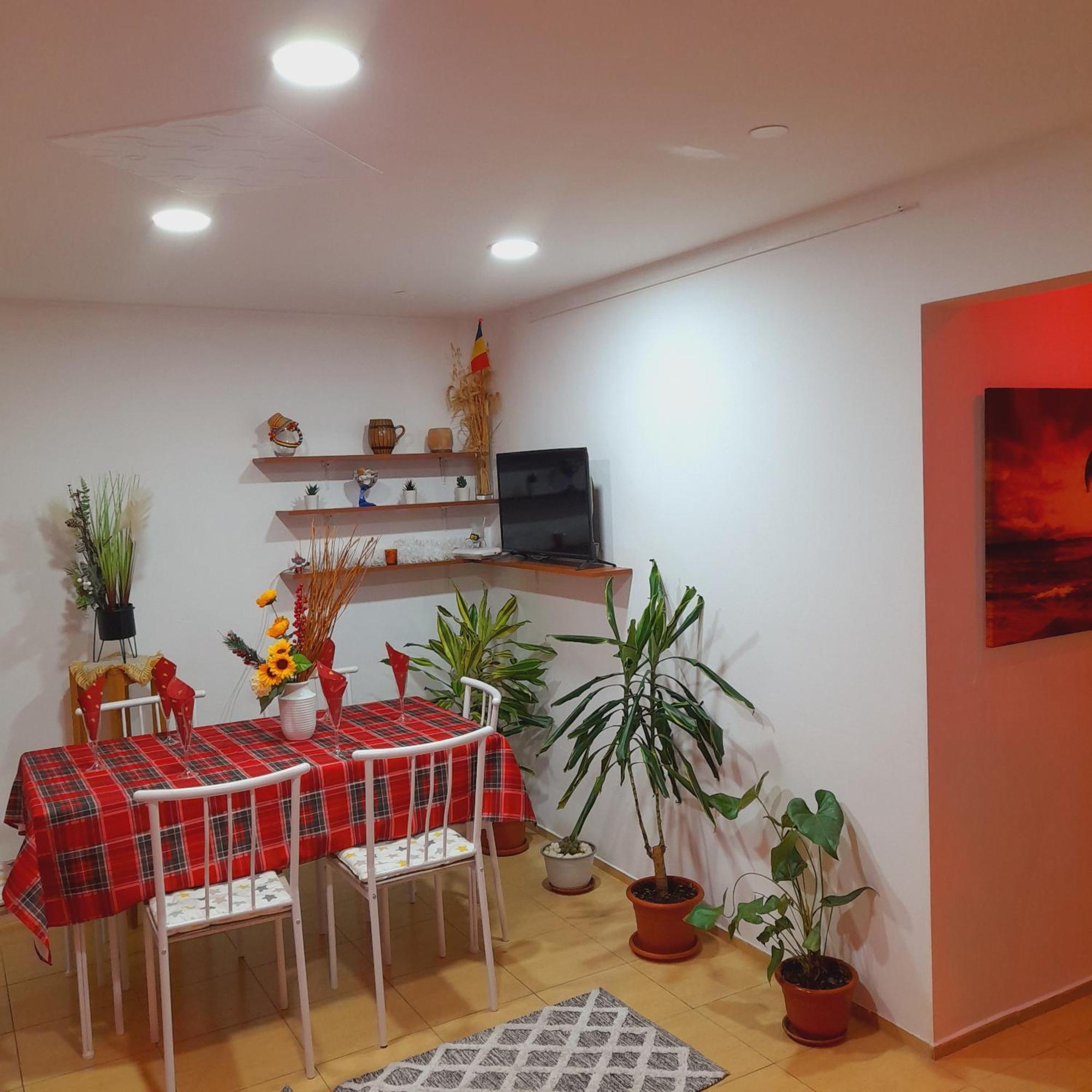 Apartment Boulevard Cetate ألبا يوليا الغرفة الصورة