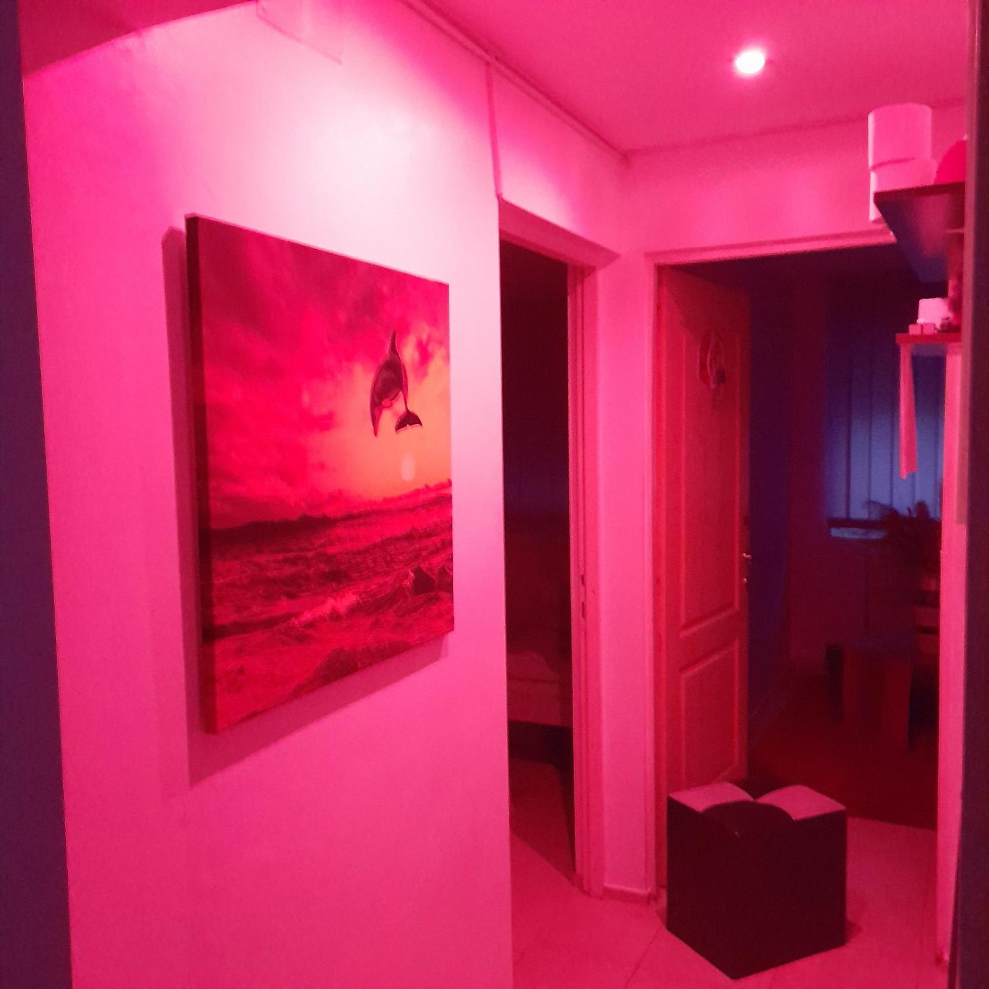 Apartment Boulevard Cetate ألبا يوليا المظهر الخارجي الصورة