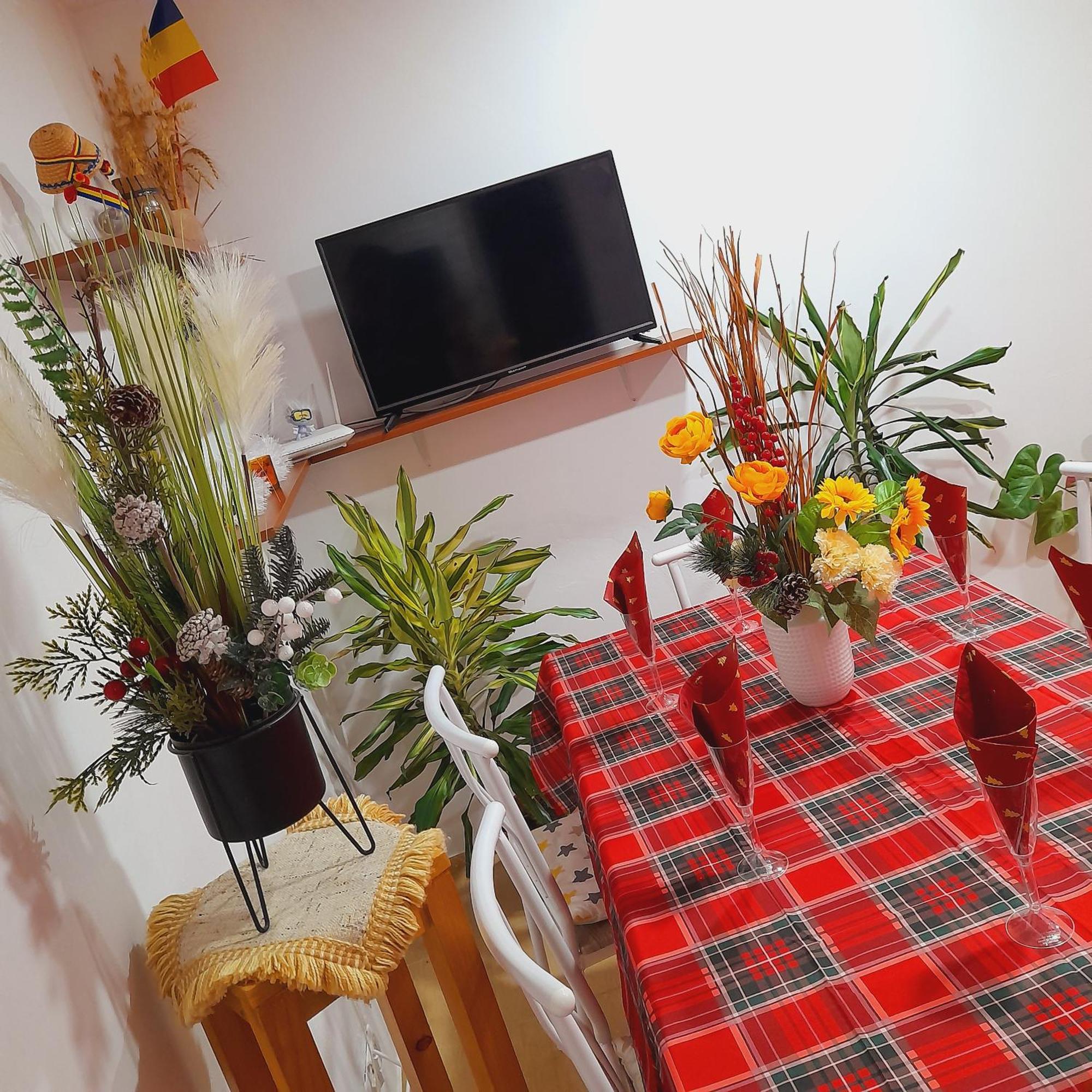 Apartment Boulevard Cetate ألبا يوليا الغرفة الصورة